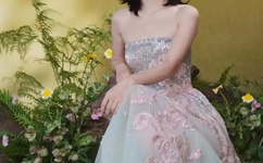 宠物小精灵第五部